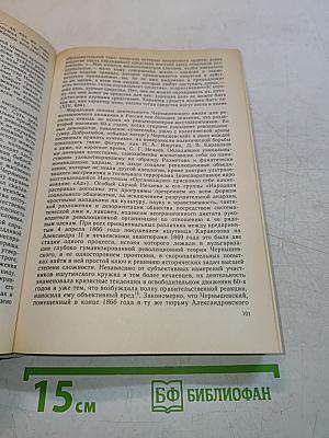 История русской литературы XIX века (Вторая половина)