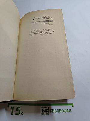 Я лучшей доли не искал... Судьба Александра Блока в письмах, дневниках, воспоминаниях