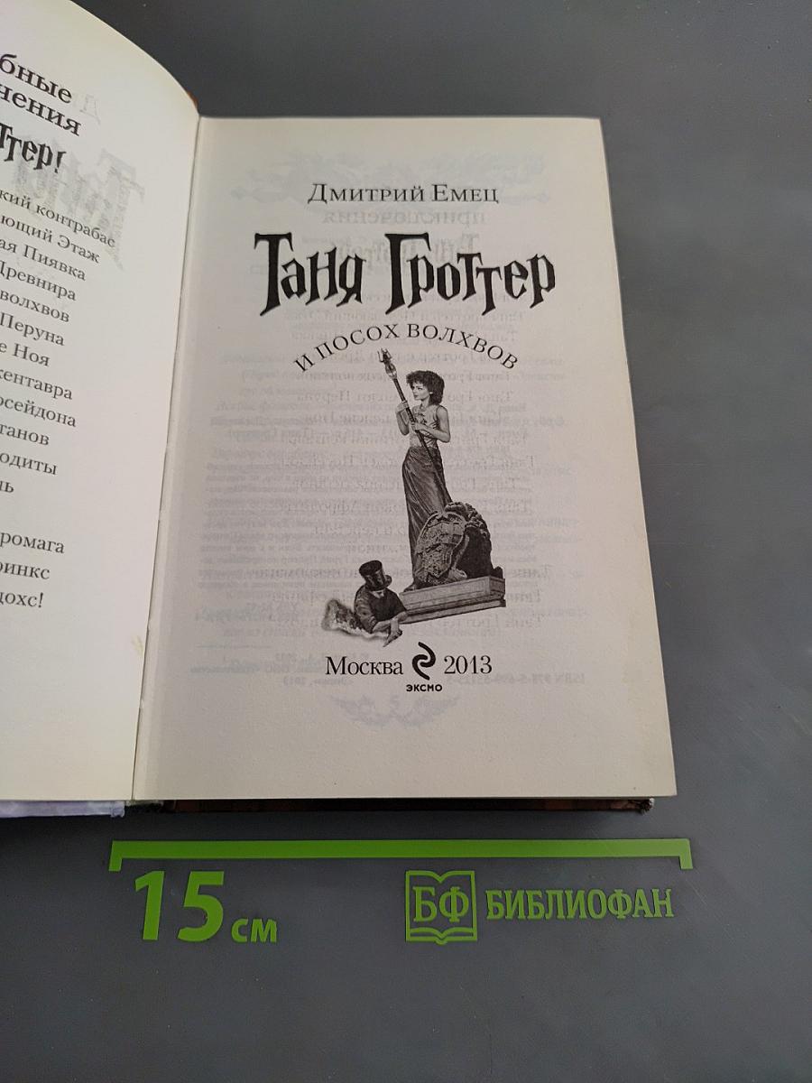 Таня Гроттер и посох волхвов