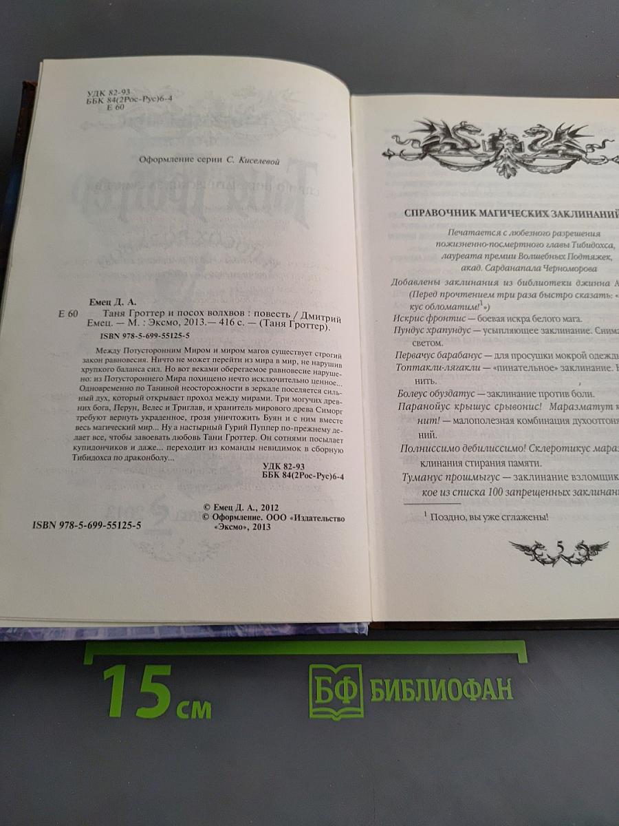 Таня Гроттер и посох волхвов