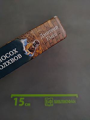 Таня Гроттер и посох волхвов