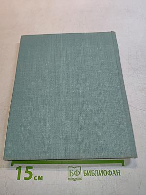 Летний сад
