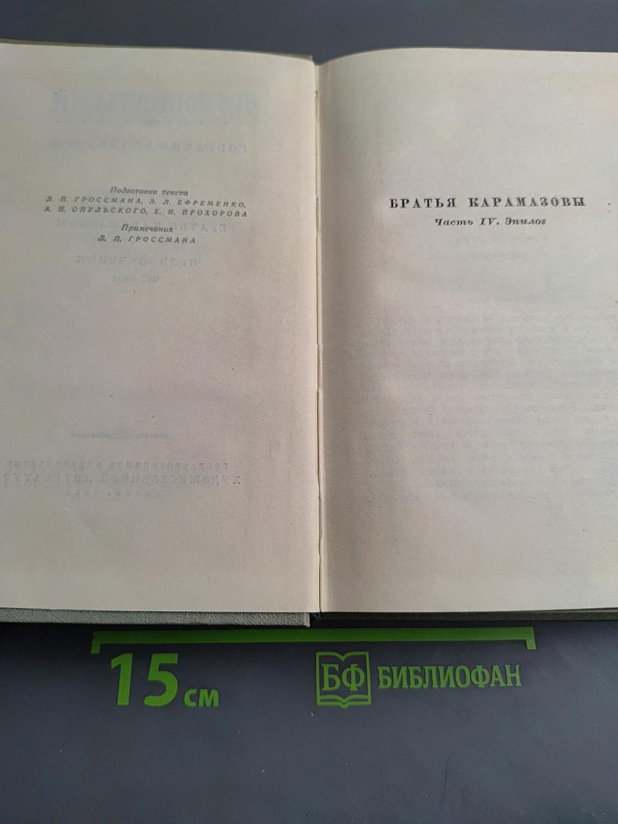 Братья Карамазовы. Том 2. Часть IV. Эпилог. Произведения 1873-1880