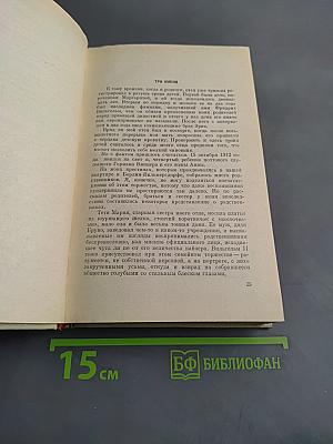 Солдат трех армий
