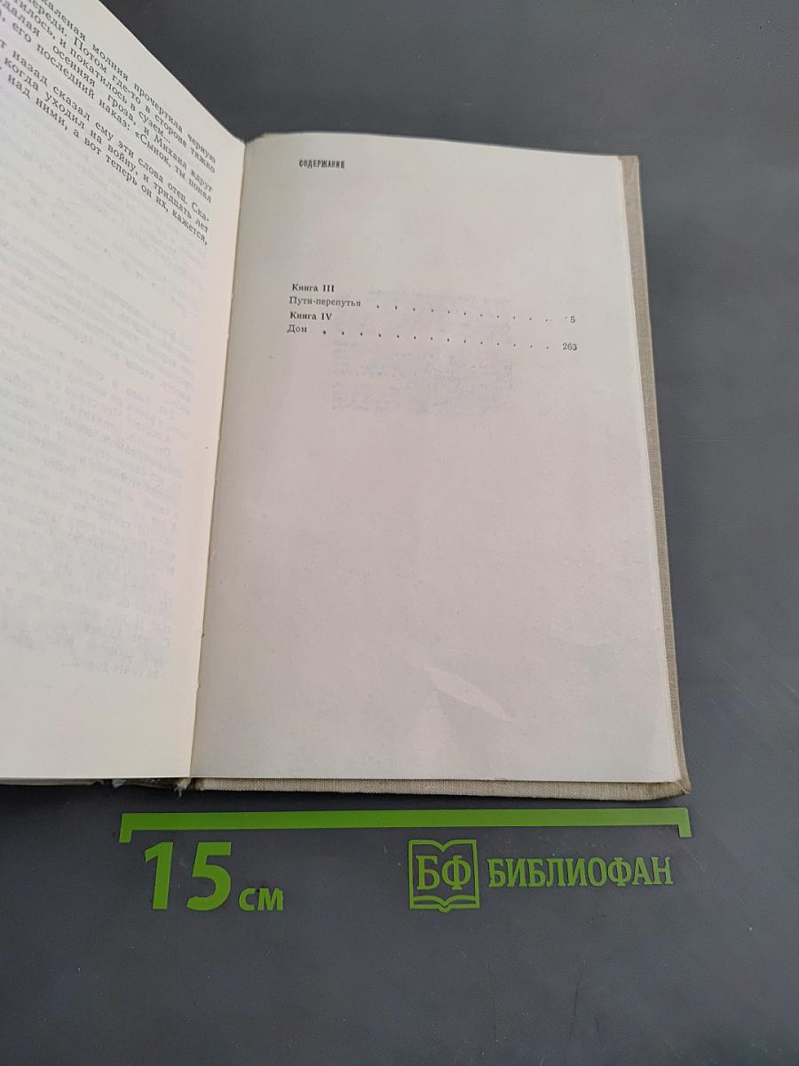 Братья и сестры. Роман в четырех книгах. Книги III-IV