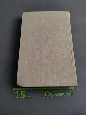 Братья и сестры. Роман в четырех книгах. Книги III-IV