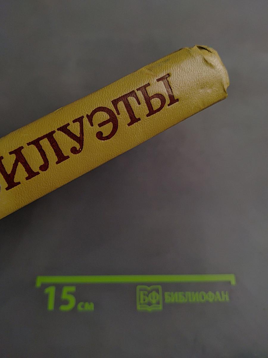 Силуэты