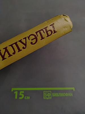 Силуэты