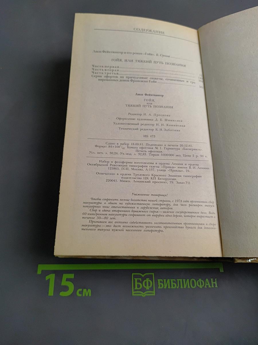 Гойя, или Тяжкий путь познания
