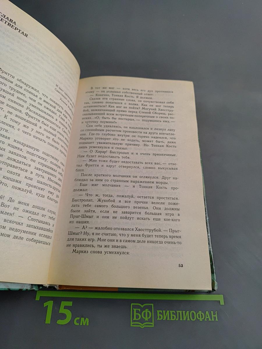 Хвострубой, или Приключения молодого кота