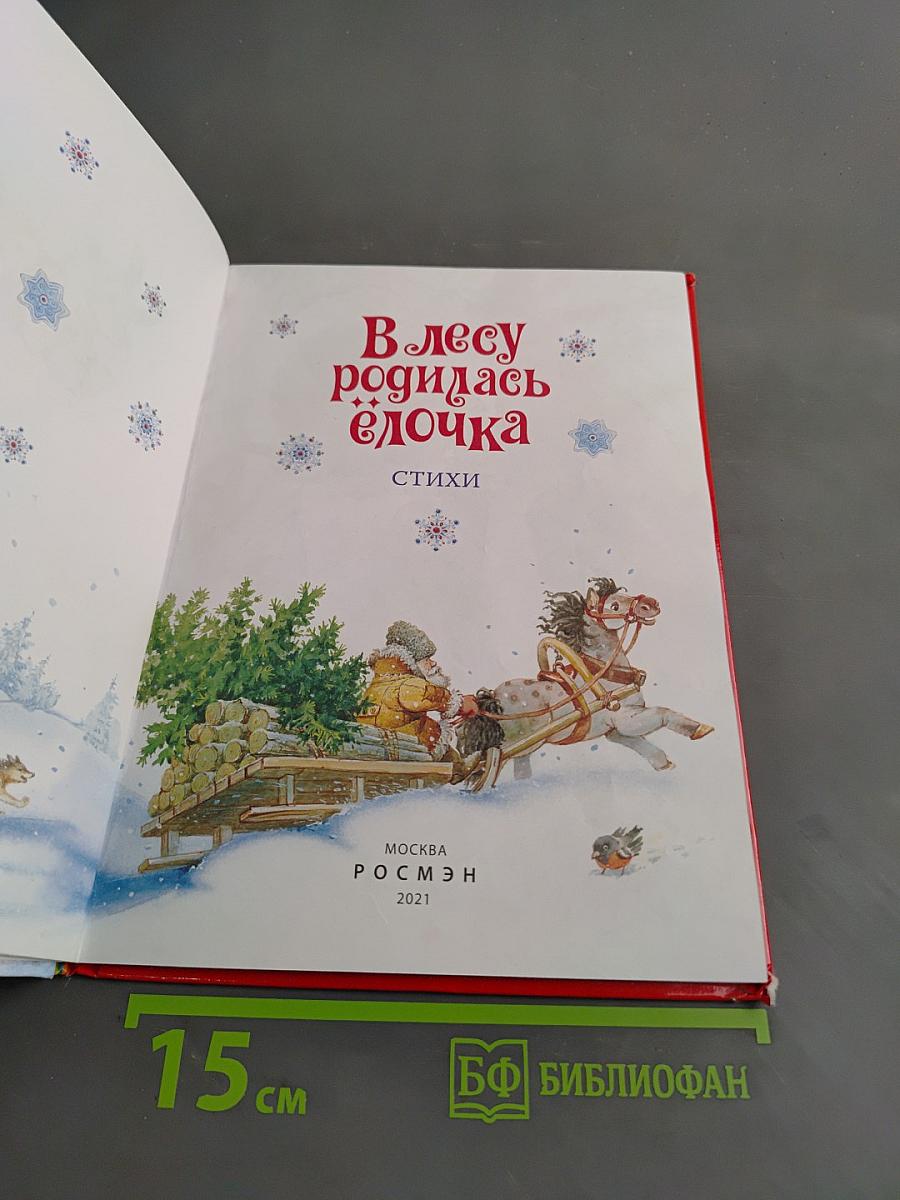 В лесу родилась ёлочка