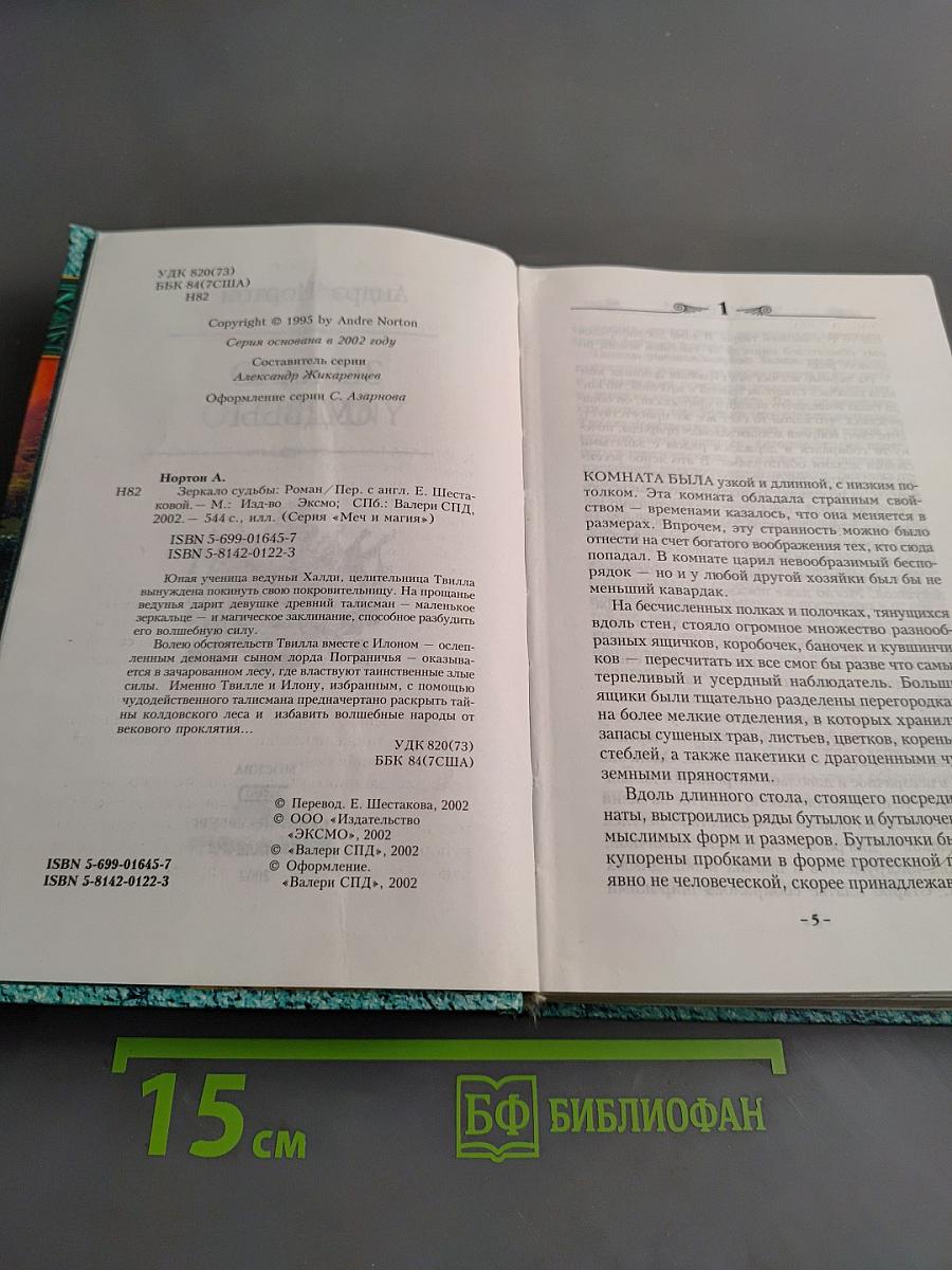 Зеркало судьбы