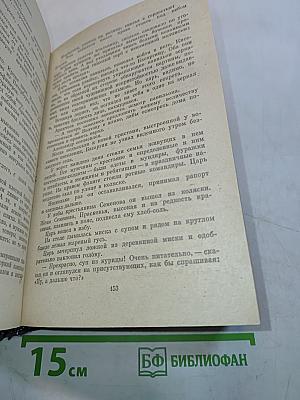 Северное сияние. Исторический роман в двух книгах