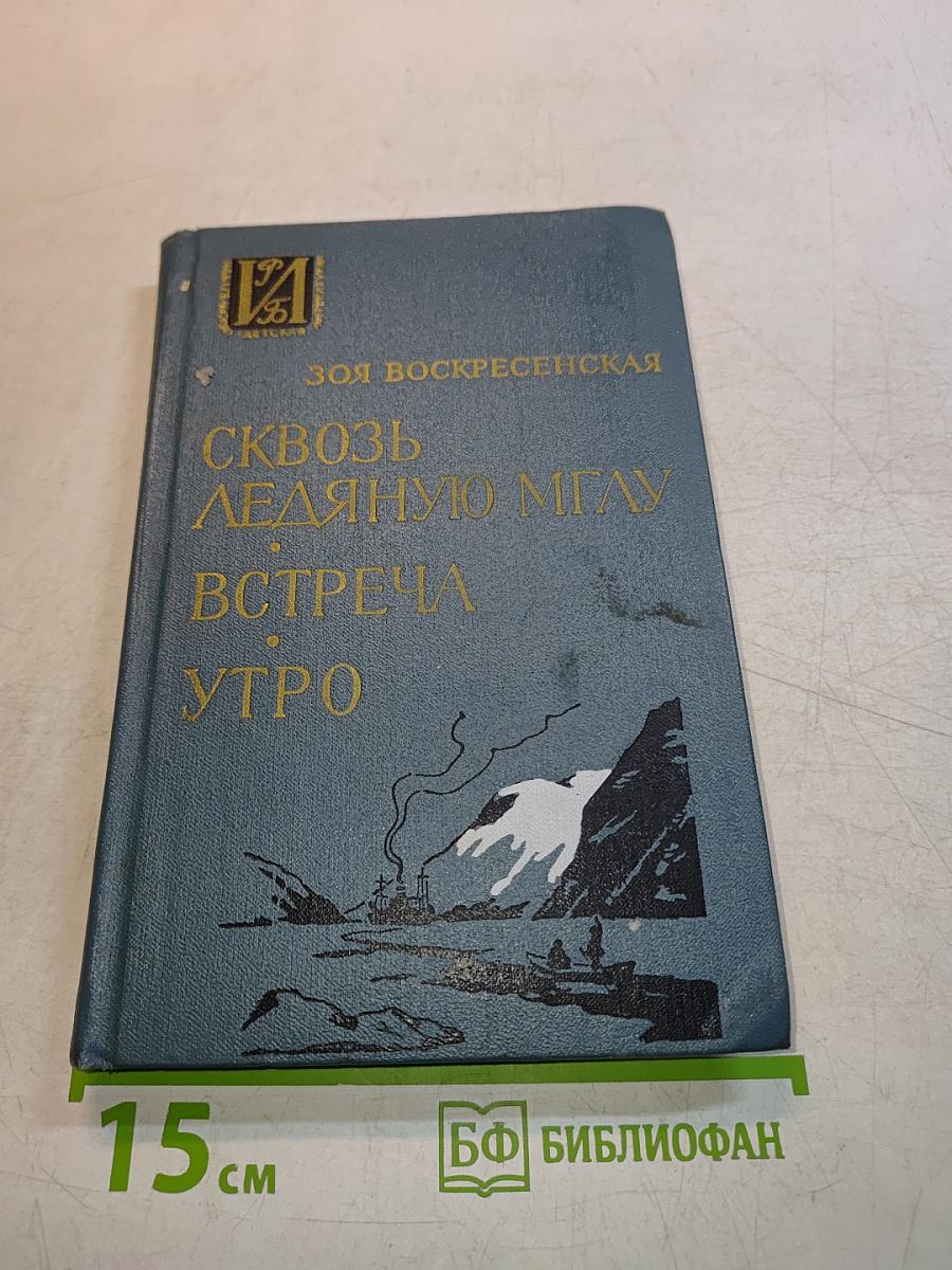 Сквозь ледяную мглу. Встреча. Утро