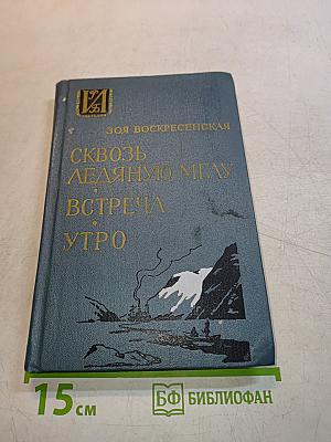 Сквозь ледяную мглу. Встреча. Утро