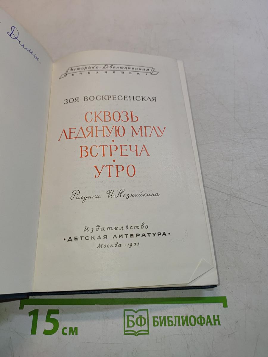 Сквозь ледяную мглу. Встреча. Утро