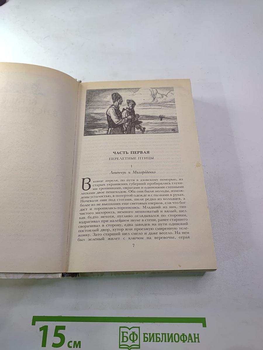 Беглые в Новороссии; Воля; Княжна Тараканова