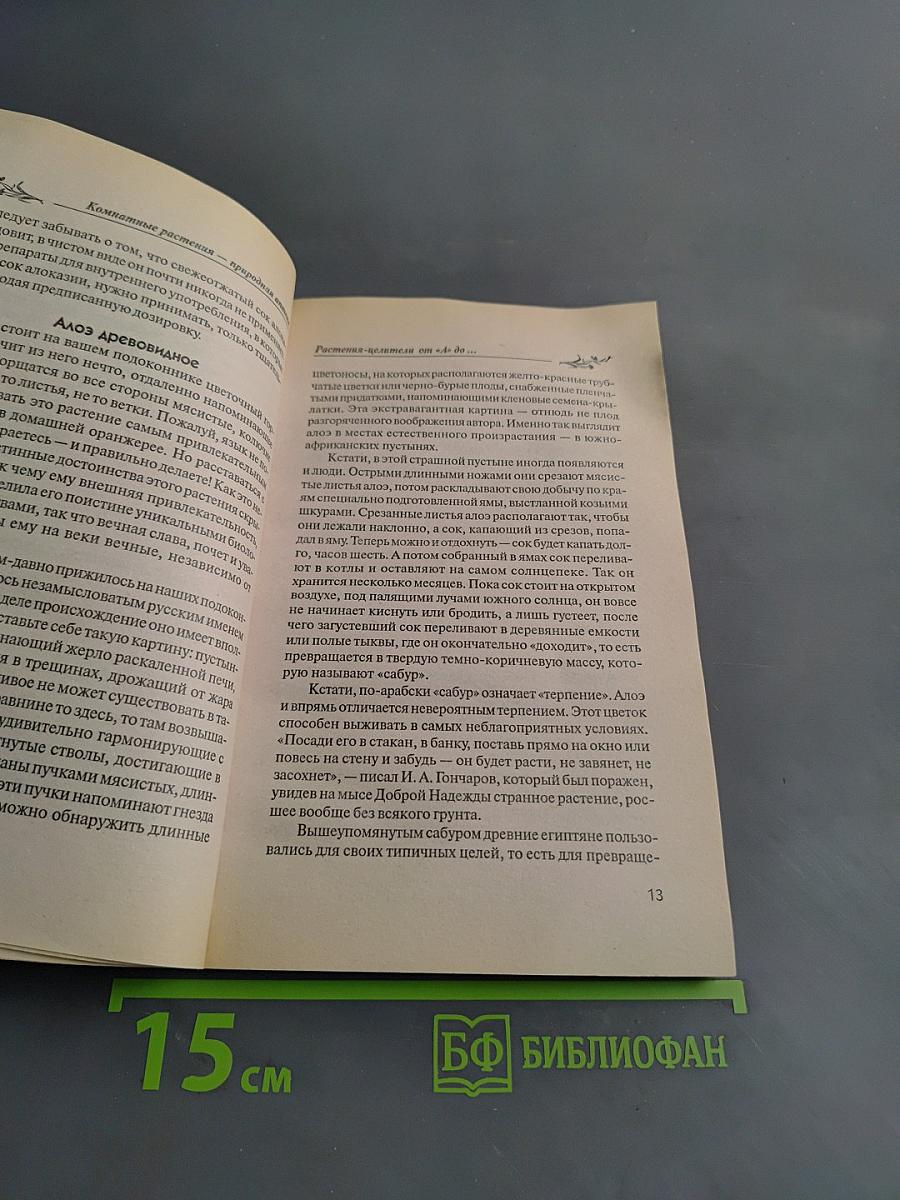 Комнатные растения – природная аптека