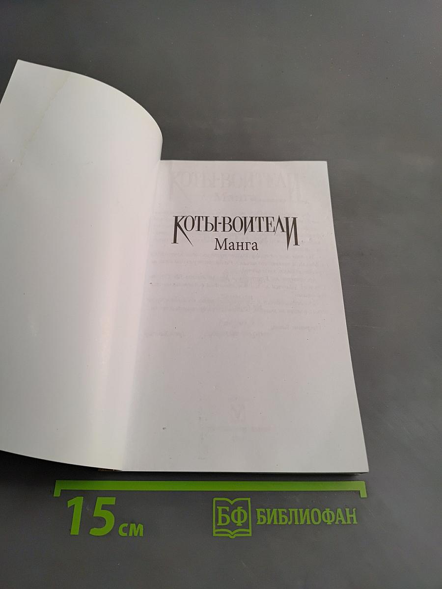 Коты-воители. Возвращение воителя