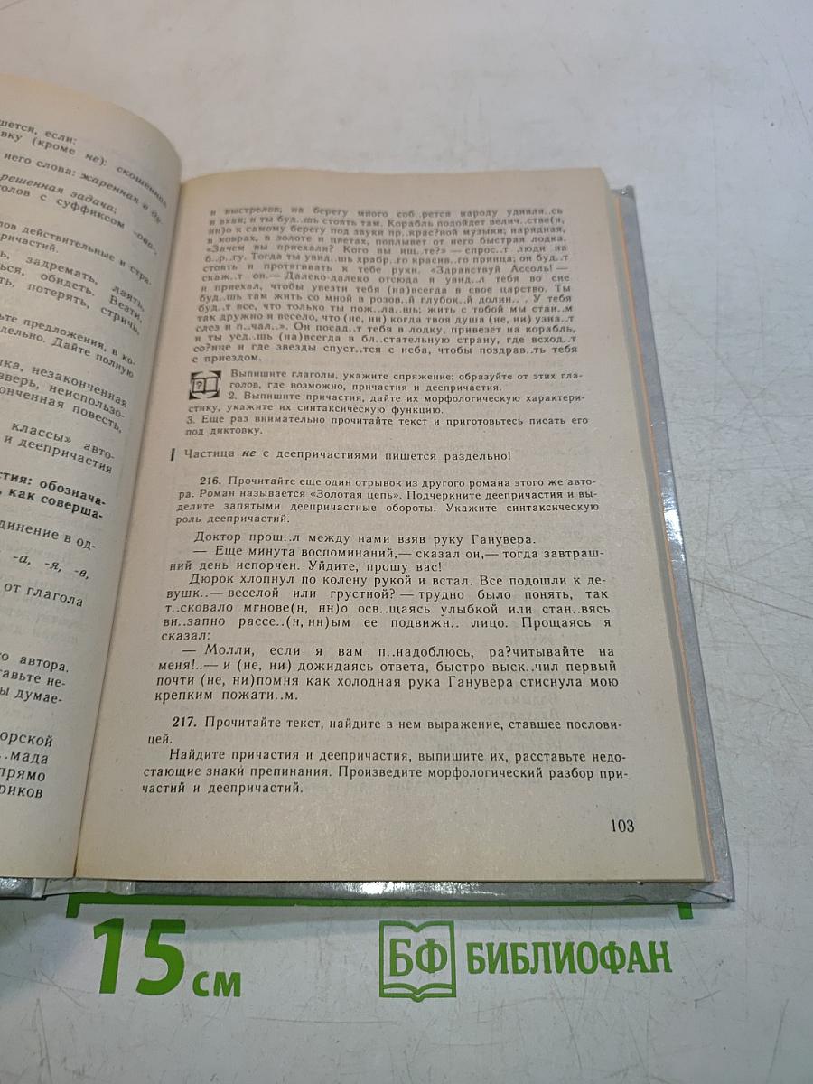 Русский язык. Грамматика. Текст. Стили речи. Учебное пособие для 10-11 классов общеобразовательных учреждений