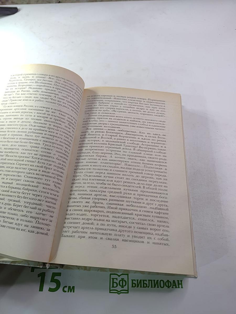 Беглые в Новороссии. Воля. Княжна Тараканова