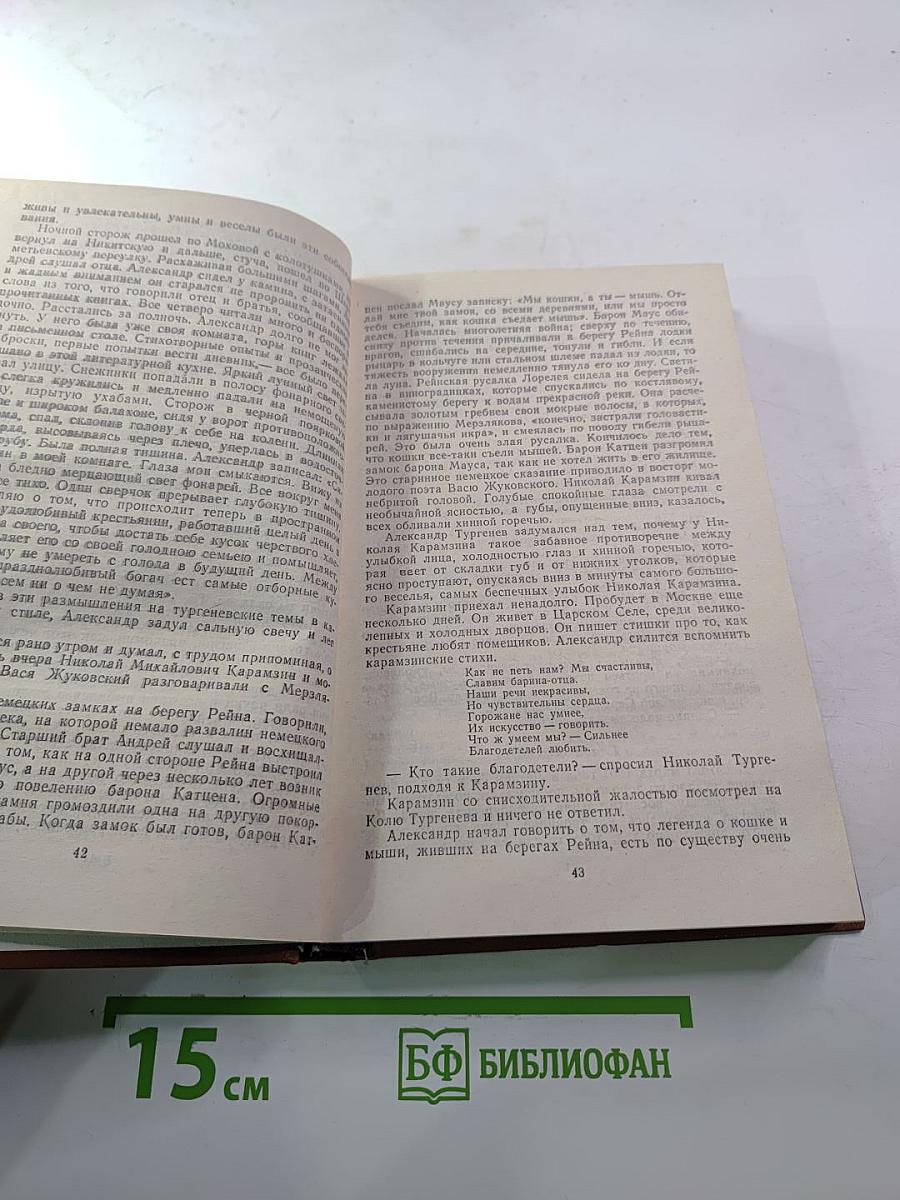 Повесть о братьях Тургеневых. Осуждение Паганини
