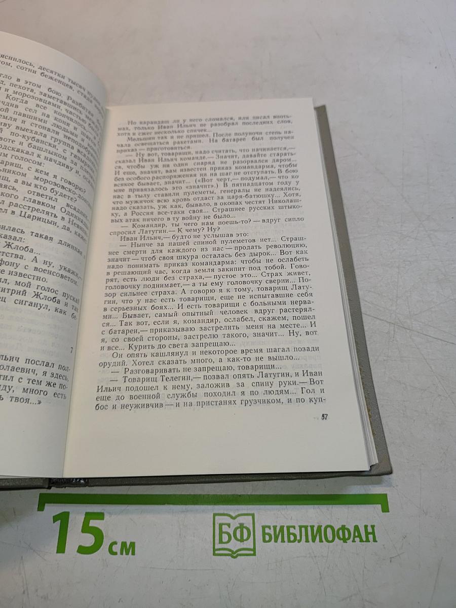 Хождение по мукам. Трилогия. Книга третья. Хмурое утро