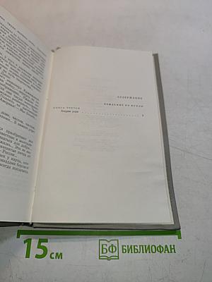 Хождение по мукам. Трилогия. Книга третья. Хмурое утро