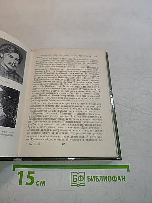 Народовольцы в Петербурге