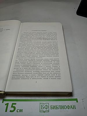 В большом чужом мире
