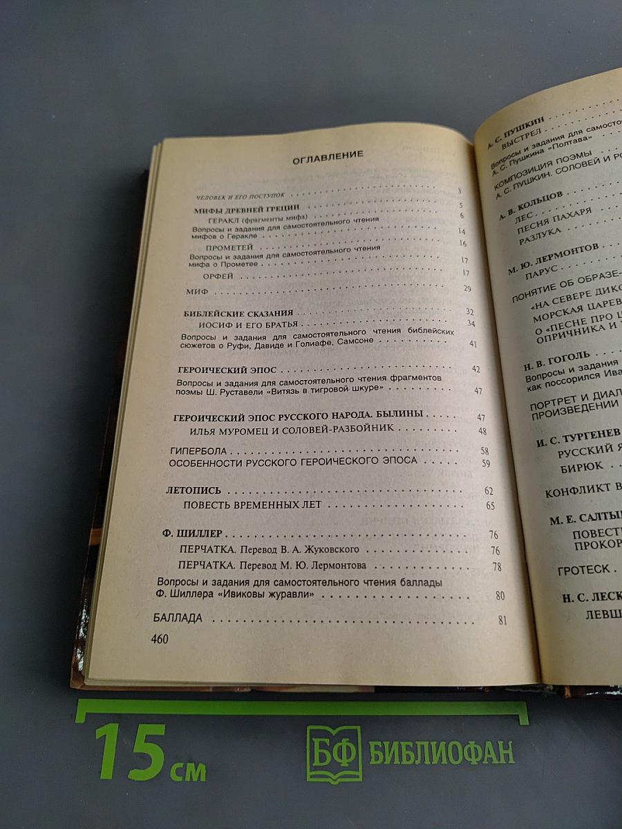 Литература. Учебник-хрестоматия для 6 класса