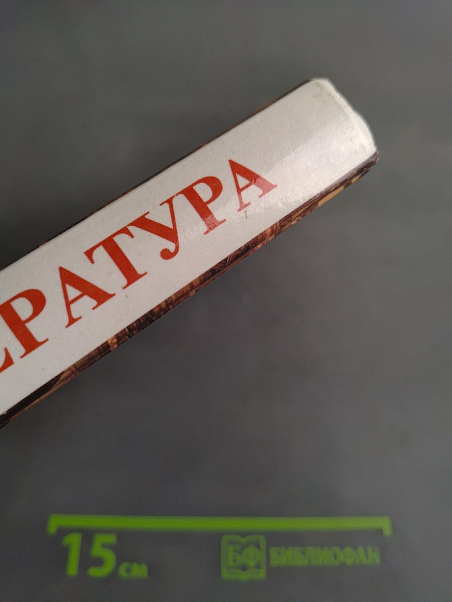 Литература. Учебник-хрестоматия для 6 класса