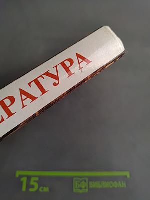 Литература. Учебник-хрестоматия для 6 класса