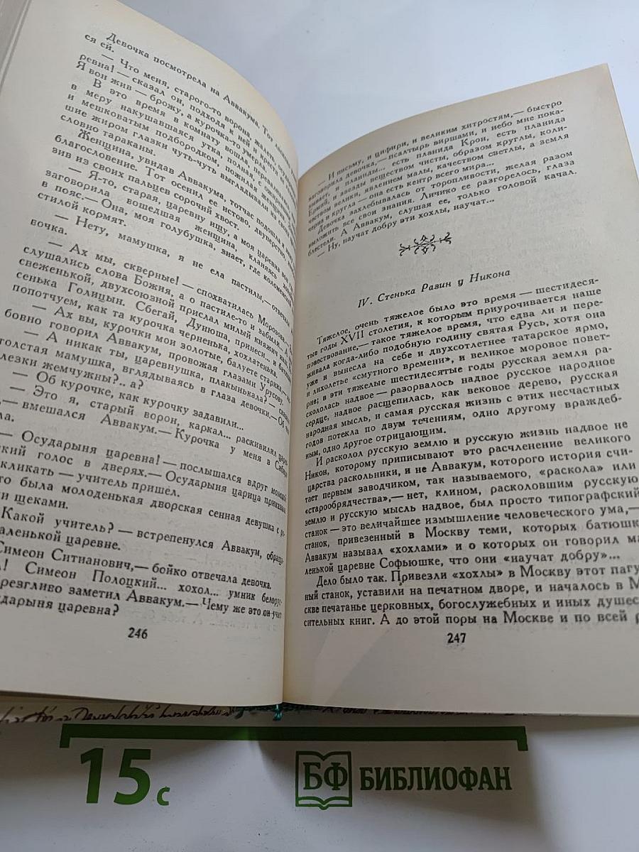 За чьи грехи? Великий раскол