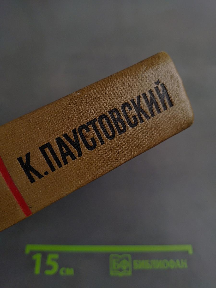 Собрание сочинений. Том четвертый. Маленькие повести, рассказы