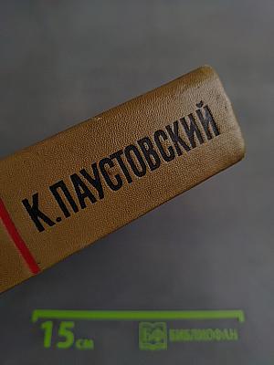 Собрание сочинений. Том четвертый. Маленькие повести, рассказы