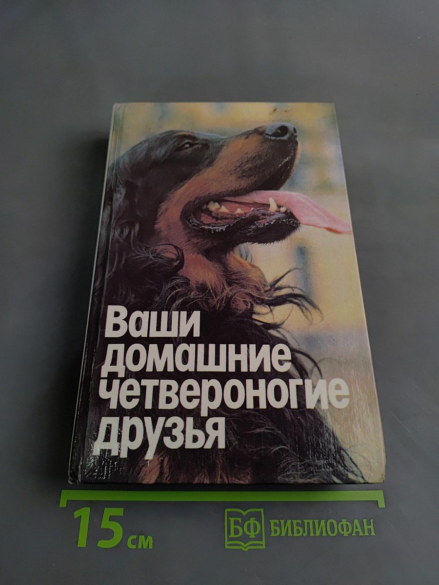 Ваши домашние четвероногие друзья