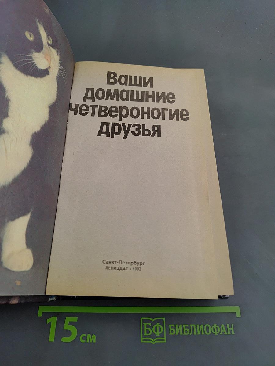Ваши домашние четвероногие друзья