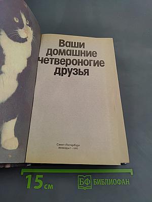 Ваши домашние четвероногие друзья