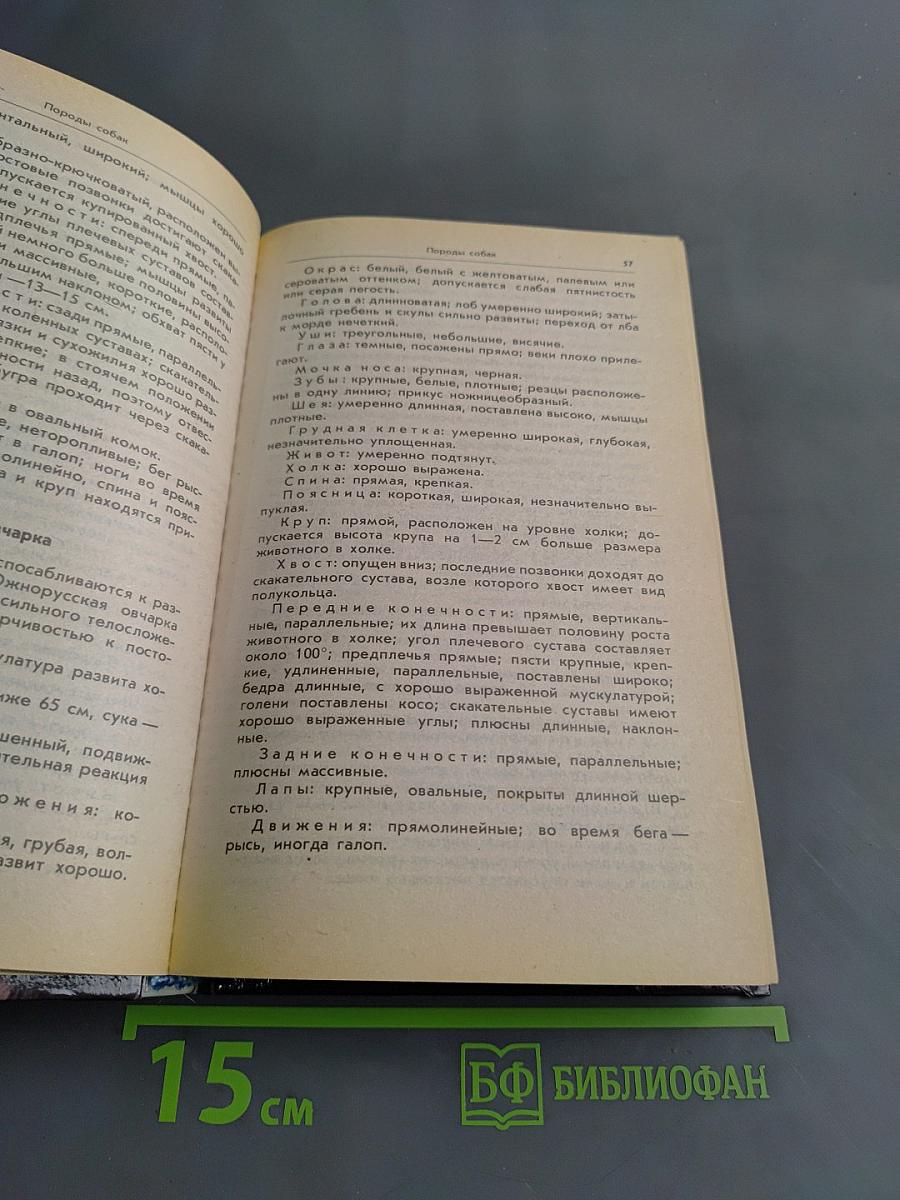 Ваши домашние четвероногие друзья
