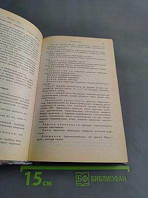 Ваши домашние четвероногие друзья