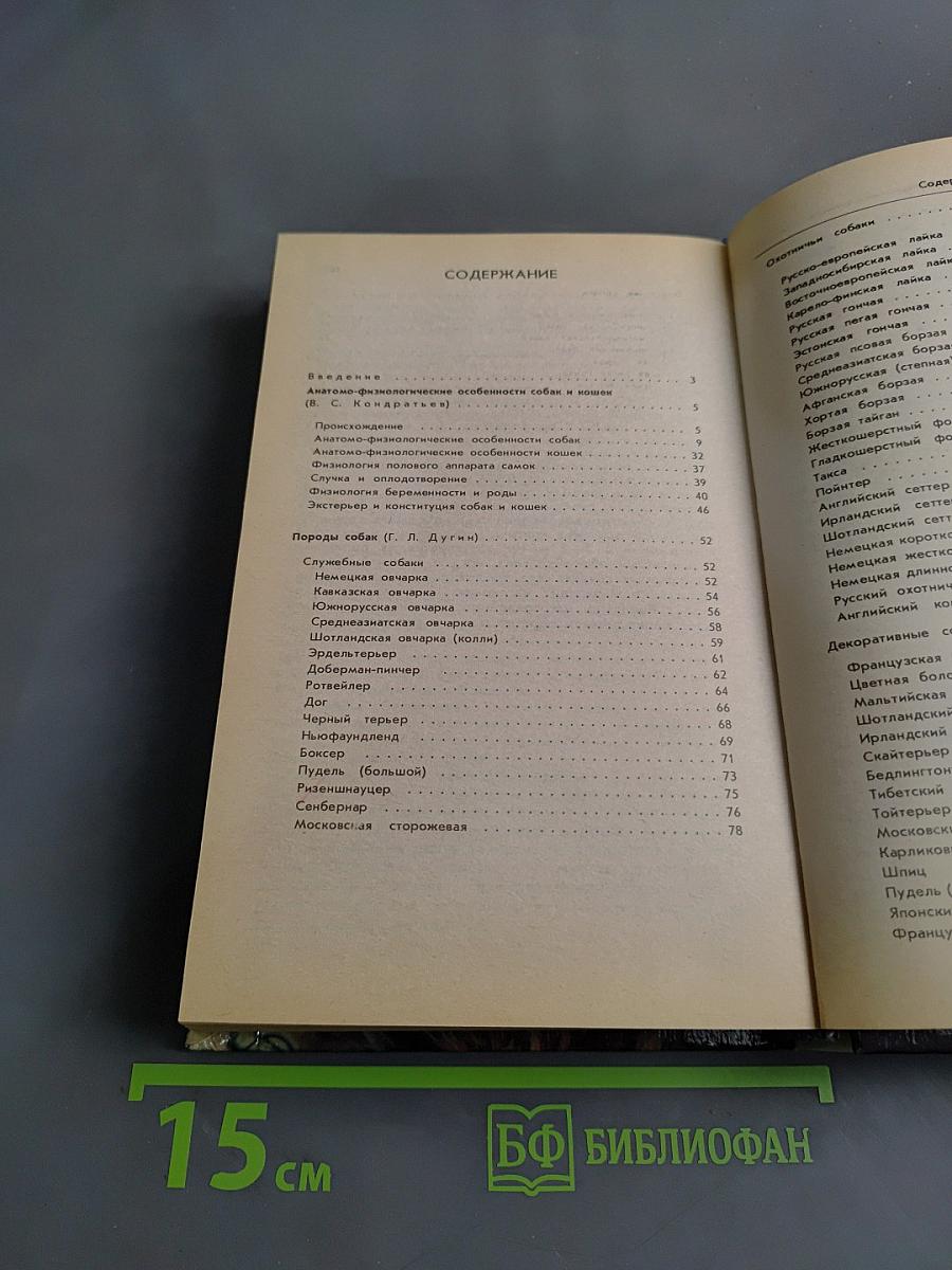 Ваши домашние четвероногие друзья