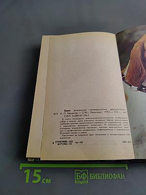 Ваши домашние четвероногие друзья