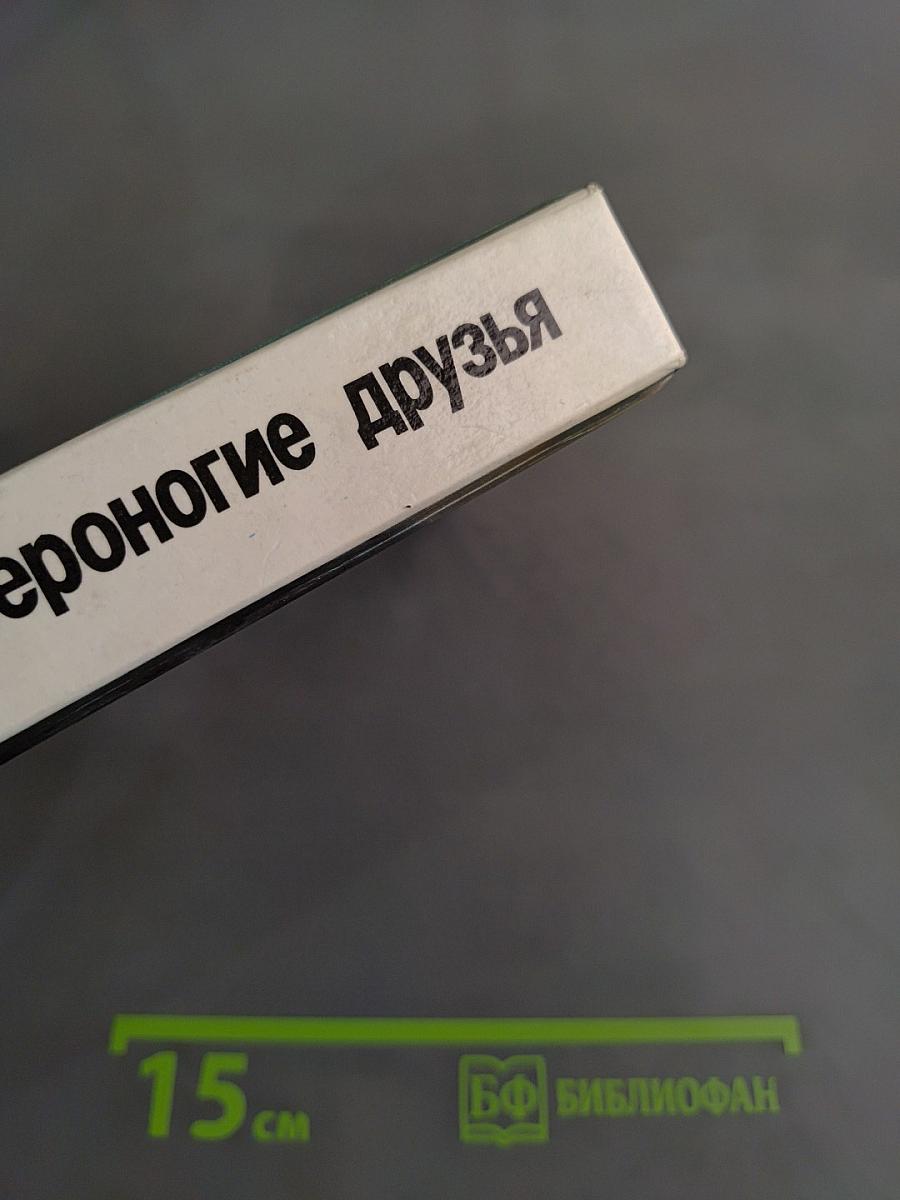 Ваши домашние четвероногие друзья