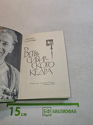 Ветвь сибирского кедра