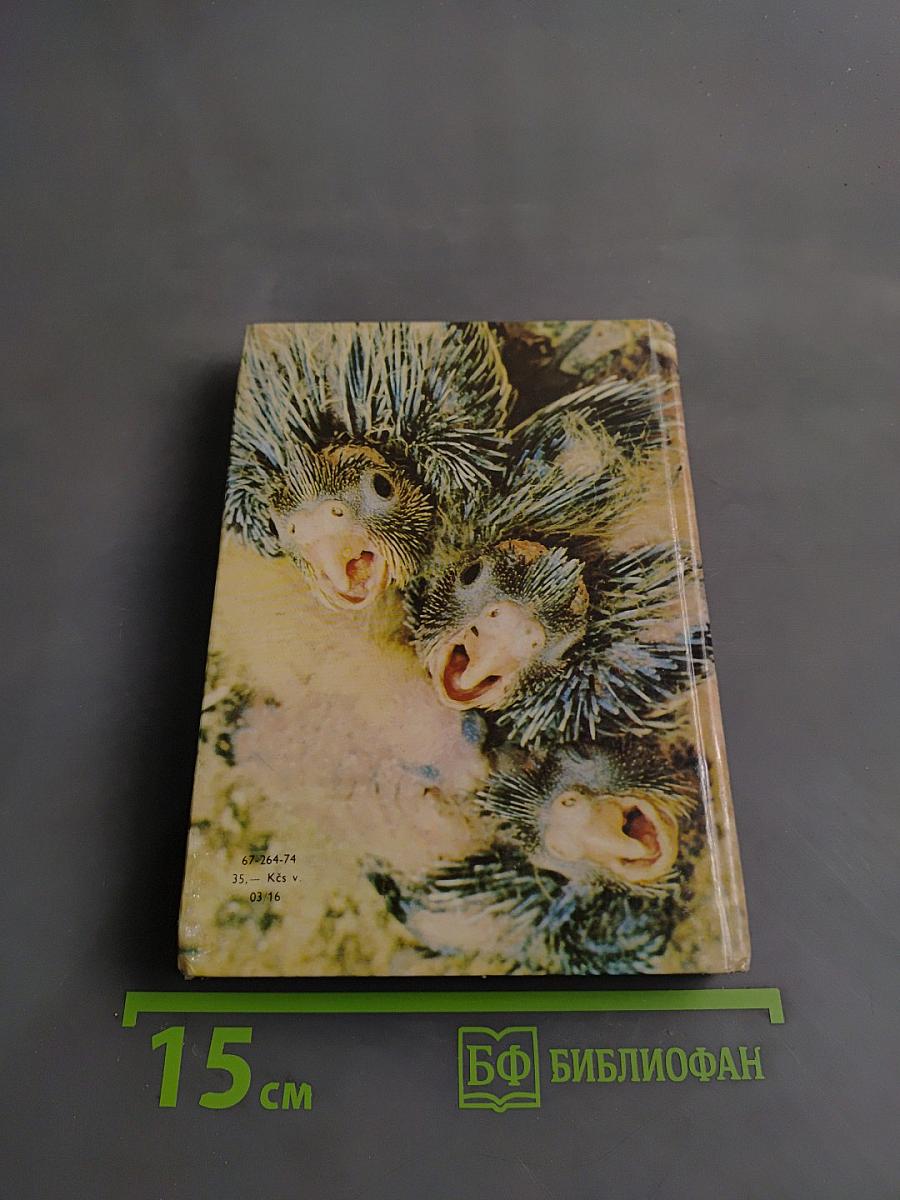 Vreckový atlas cudzokrajných vtákov