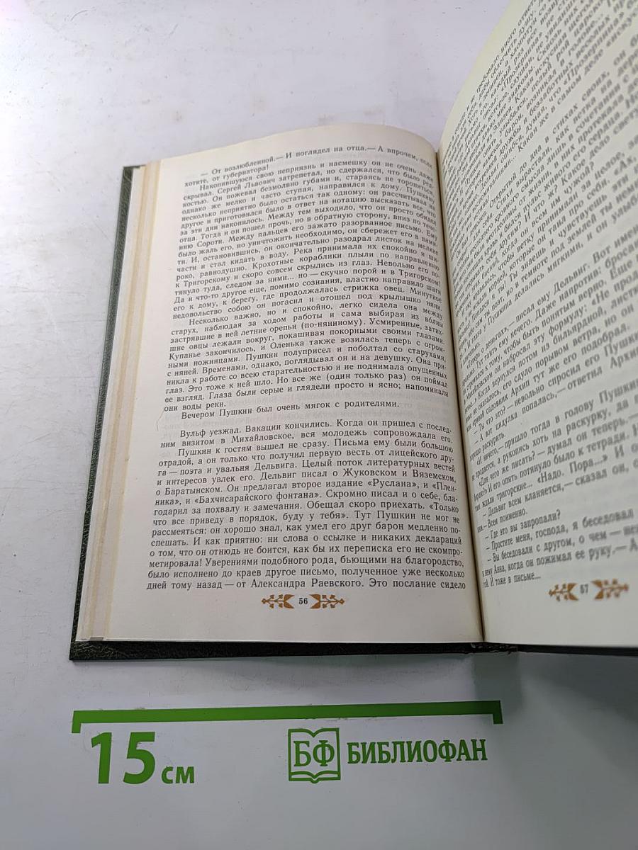 Пушкин в Михайловском