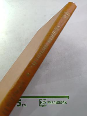 Черный консул