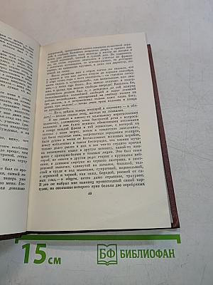 Жизнь Арсеньева. Том шестой