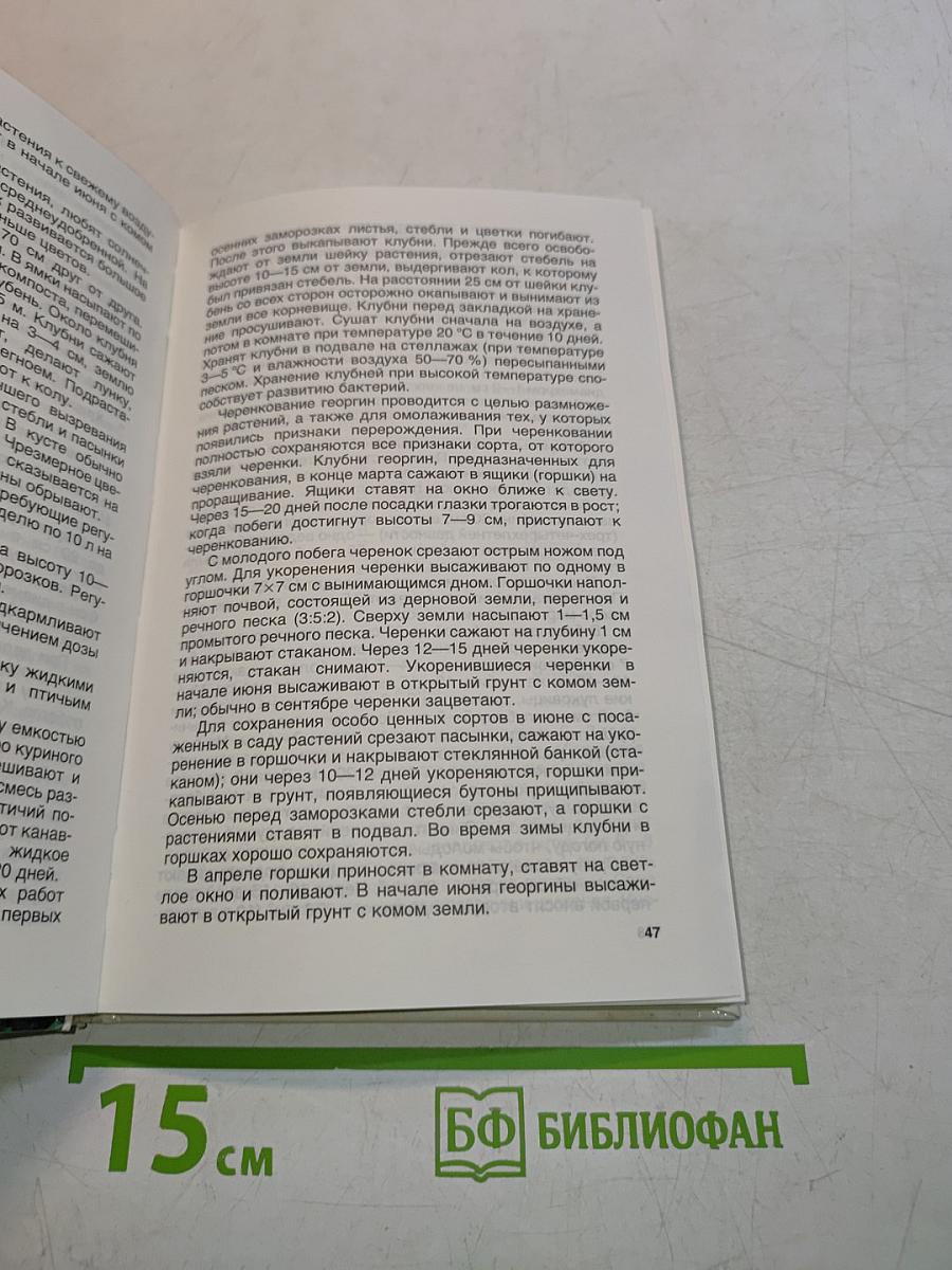Цветы в саду